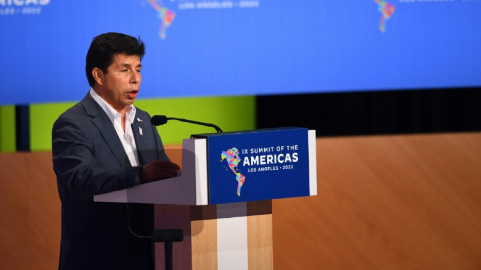 Los conflictos sociales en Per&uacute; aumentaron con Castillo, seg&uacute;n oeneg&eacute;s