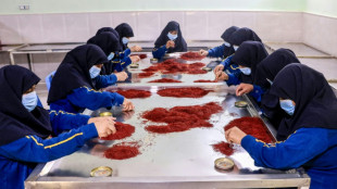 Mais de 1 milh&atilde;o de adolescentes afeg&atilde;s foram banidas da escola desde retorno dos talib&atilde;s



