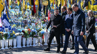 Zelensky, 'al lavoro per garanzie di sicurezza affidabili'