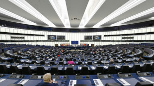 Linke und "Die Partei" kritisieren geplante Sperrklausel f&uuml;r Europawahlen