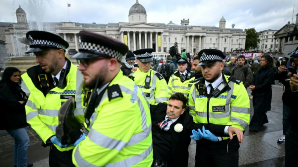 Royaume-Uni: la justice se penche sur l'interdiction critiquée d'un groupe propalestinien