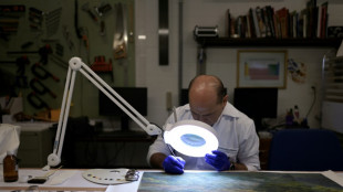 Br&eacute;sil: la difficile restauration des objets d'art endommag&eacute;s &agrave; Brasilia