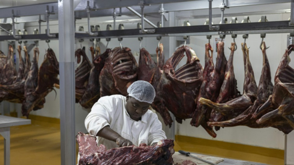 Afrique du Sud: appel aux amateurs de viande de z&egrave;bre et de gnou