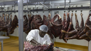 Afrique du Sud: appel aux amateurs de viande de z&egrave;bre et de gnou