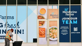 US private hiring heats up in February: survey