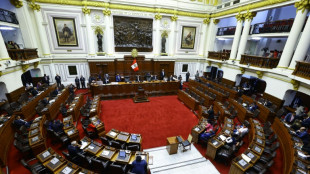 El Congreso de Per&uacute; aprueba una amnist&iacute;a a militares procesados por cr&iacute;menes de DDHH en el conflicto