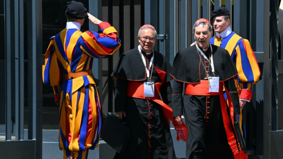 Un videojuego saca provecho de la emoci&oacute;n mundial que despierta la elecci&oacute;n del futuro papa