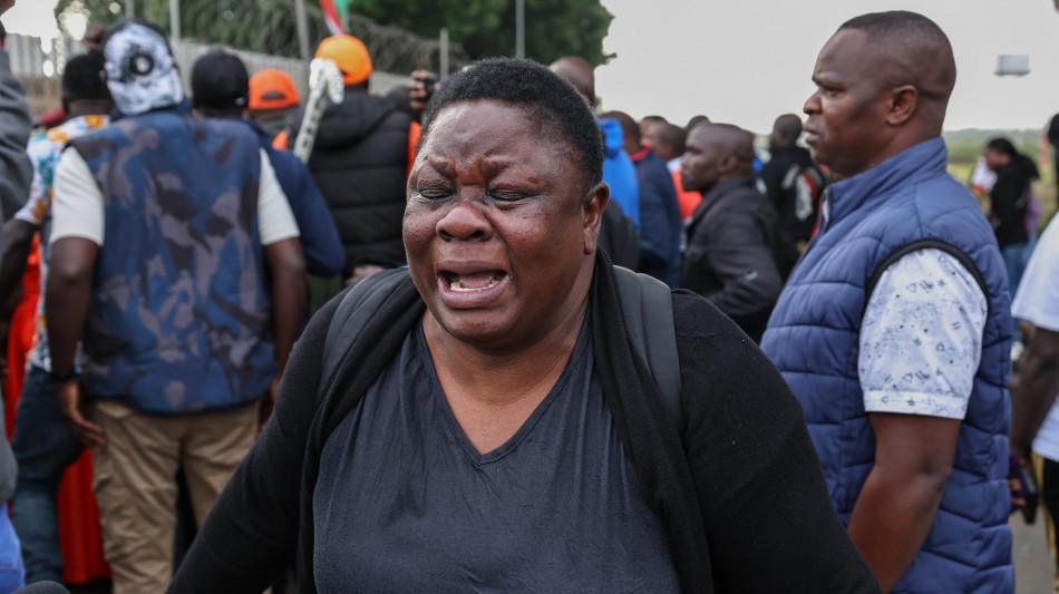 Cos&igrave; il cervello trasforma le emozioni in azioni