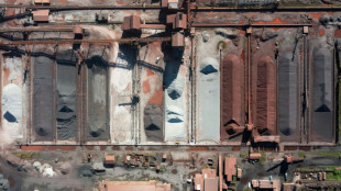 Am&eacute;rique latine: d&eacute;j&agrave; fragilis&eacute;e par la Chine, la sid&eacute;rurgie redoute l'effet des taxes Trump