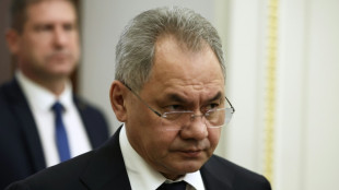 Russlands Verteidigungsminister Schoigu reist nach Nordkorea