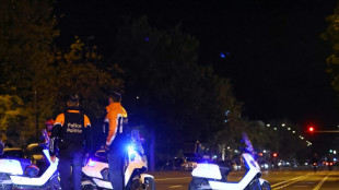 Tres detenidos en B&eacute;lgica por el ataque a aficionados de f&uacute;tbol suecos