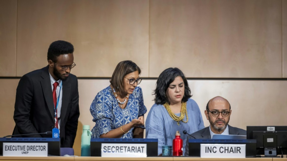 Nuit blanche &agrave; Gen&egrave;ve, pas de trait&eacute; plastique et maintenant ?