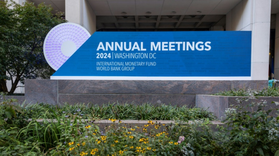 IWF senkt Wachstumserwartungen 2024 f&uuml;r Deutschland auf Null