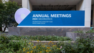 IWF senkt Wachstumserwartungen 2024 f&uuml;r Deutschland auf Null
