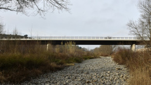 Anhaltende Trockenheit in Frankreich l&auml;sst fr&uuml;he und schlimme Waldbr&auml;nde bef&uuml;rchten