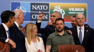 G7 powers promise Ukraine support, but NATO must wait 
