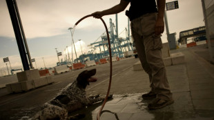 Confiscan en Espa&ntilde;a cargamento de 8 toneladas de coca&iacute;na