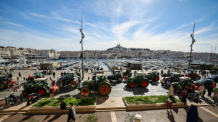 Des agriculteurs manifestent avant de nouvelles annonces du gouvernement