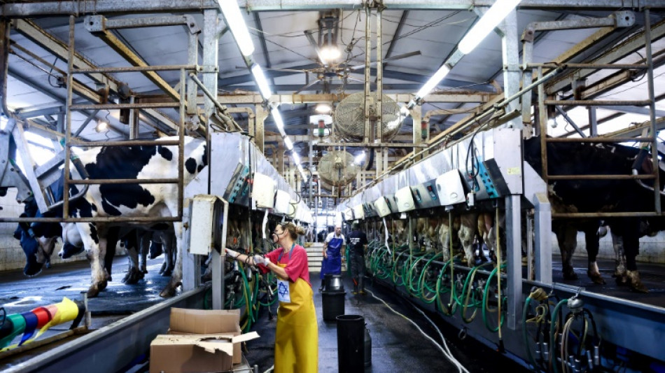 Volunt&aacute;rios israelenses substituem trabalhadores agr&iacute;colas mortos ou sequestrados pelo Hamas