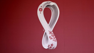 Sportschau: Bezahlte Fans sollen f&uuml;r gute WM-Stimmung sorgen