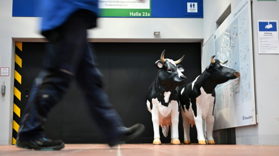 Alemania registra un excedente comercial r&eacute;cord con EEUU en medio de las amenazas arancelarias de Trump