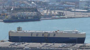 Media, 'Trump sta ancora valutando varie opzioni per i dazi'