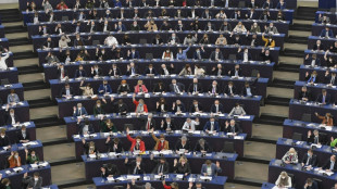 EU-Parlament will l&auml;nder&uuml;bergreifend w&auml;hlbare Kandidaten bei Europawahlen