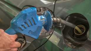 Br&eacute;sil: Bolsonaro limoge le pr&eacute;sident de Petrobras apr&egrave;s des hausses des prix des carburants 