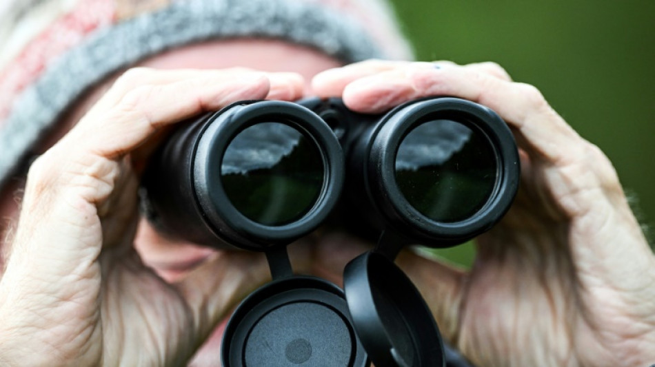 Urteil zu Observation durch Detektiv: Versicherungen m&uuml;ssen Daten mitunter teilen