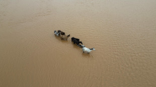 Per le piogge nel sud, il Brasile dovr&agrave; importare riso e fagioli