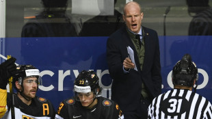 Eishockey-Bundestrainer S&ouml;derholm wechselt nach Bern