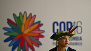 La COP16 biodiversit&eacute; entre dans les prolongations, suspendue &agrave; la question du financement