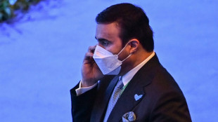 Frankreichs Justiz ermittelt nach Foltervorw&uuml;rfen zweier Briten gegen Interpol-Chef