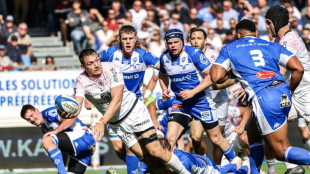 Bulls' visit to Toulouse has extra edge for Springbok Elstadt