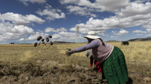 In Peru's highlands, hopelessness shapes a bitter presidential runoff