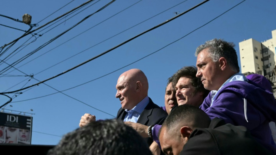 Argentina's Milei pelted with stones on campaign trail