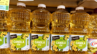 China wegen Autoz&ouml;llen kanadische Raps- und Chemieimporte ins Visier