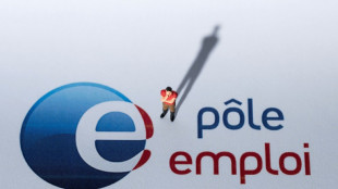 Ch&ocirc;mage: l'ann&eacute;e d&eacute;marre sur une note positive, mais &agrave; "relativiser"