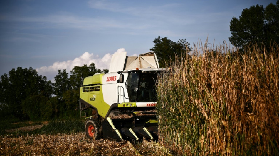 Italie: d&eacute;c&egrave;s d'un travailleur indien abandonn&eacute; avec un bras arrach&eacute;