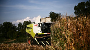 Italie: d&eacute;c&egrave;s d'un travailleur indien abandonn&eacute; avec un bras arrach&eacute;