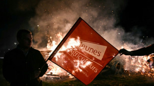 A Rouen, 250 agriculteurs manifestent contre l'accord avec le Mercosur