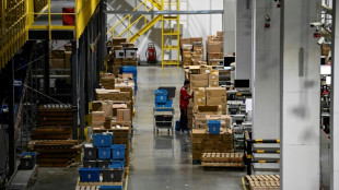 Verdi: Ausbeutung und prek&auml;re Besch&auml;ftigung in Paketbranche "unertr&auml;glich"