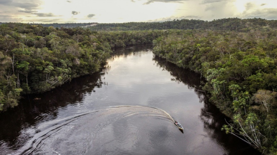 Cow-boys des cr&eacute;dits carbone contre indig&egrave;nes, la bataille colombienne contre le greenwashing