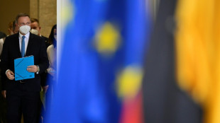 El ministro de Econom&iacute;a alem&aacute;n da positivo al covid-19 durante un viaje a EEUU