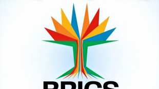 Il Messico sar&agrave; presente al vertice dei Brics in Brasile