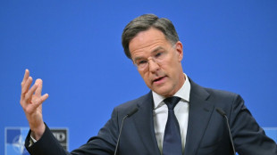 Rutte: Handelsstreit sollte nicht Diskussionen um Sicherheit beeintr&auml;chtigen