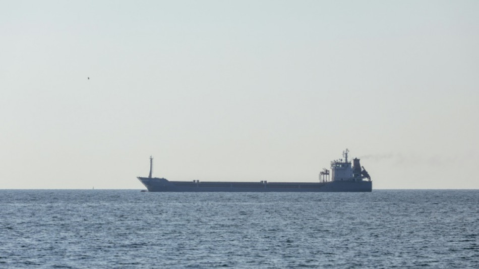 Zarpan de Ucrania tres buques con grano en plena pol&eacute;mica sobre las t&aacute;cticas de guerra