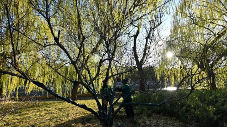 China reporta su otoño más cálido desde que se llevan registros