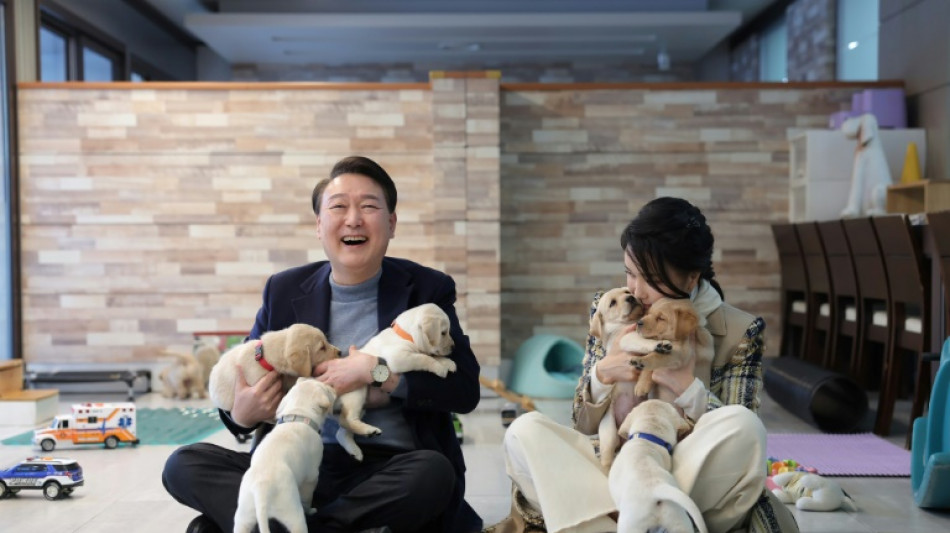 'Esc&acirc;ndalo da bolsa Dior' amea&ccedil;a partido do presidente sul-coreano