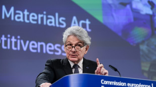 Europa quiere dotarse de un "escudo" contra los ataques cibern&eacute;ticos, seg&uacute;n un comisario